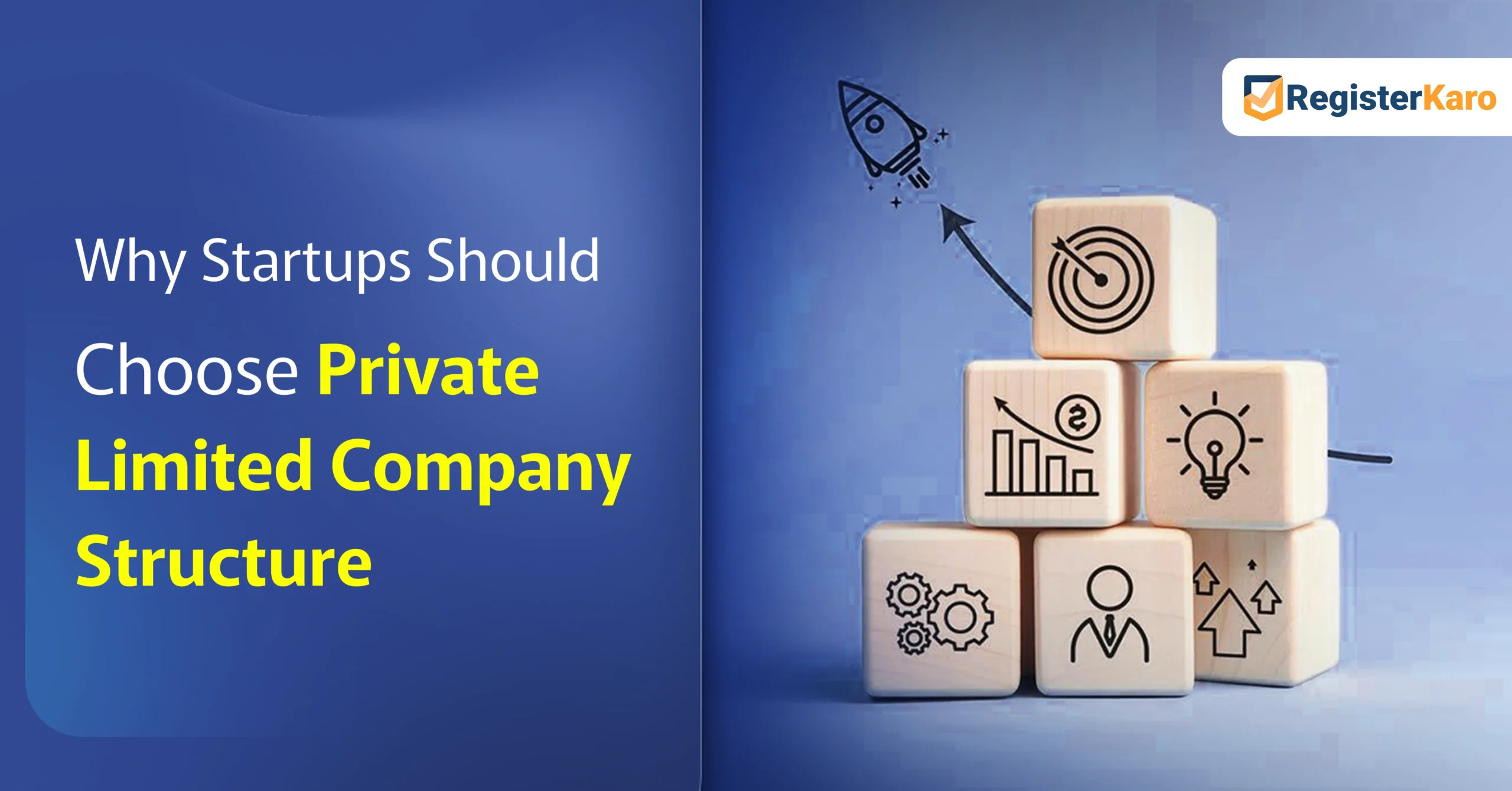Why Startups Should Choose Pvt. Ltd. Company Structure?