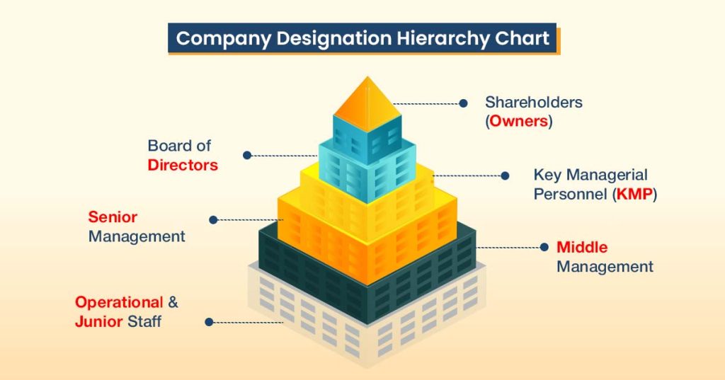 company designation hierarchy chart infographic