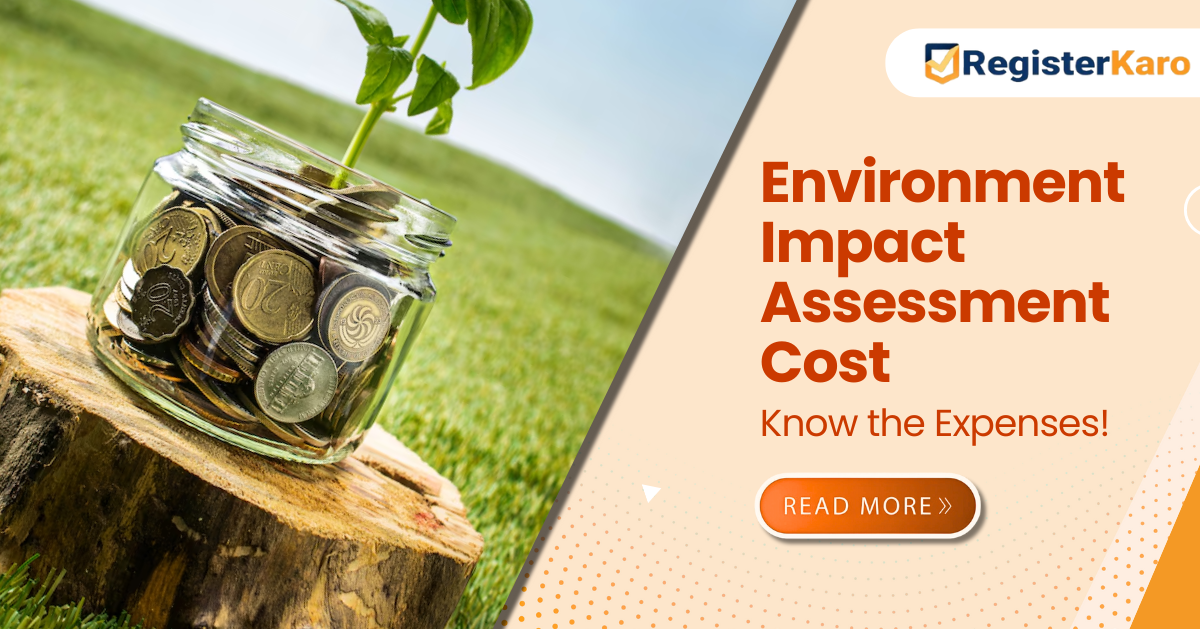 How Much Does Environmental Impact Assessment Cost?