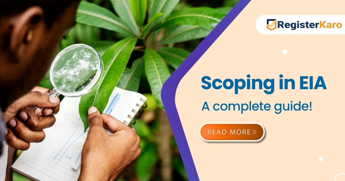 What is Scoping in Environmental Impact Assessment?