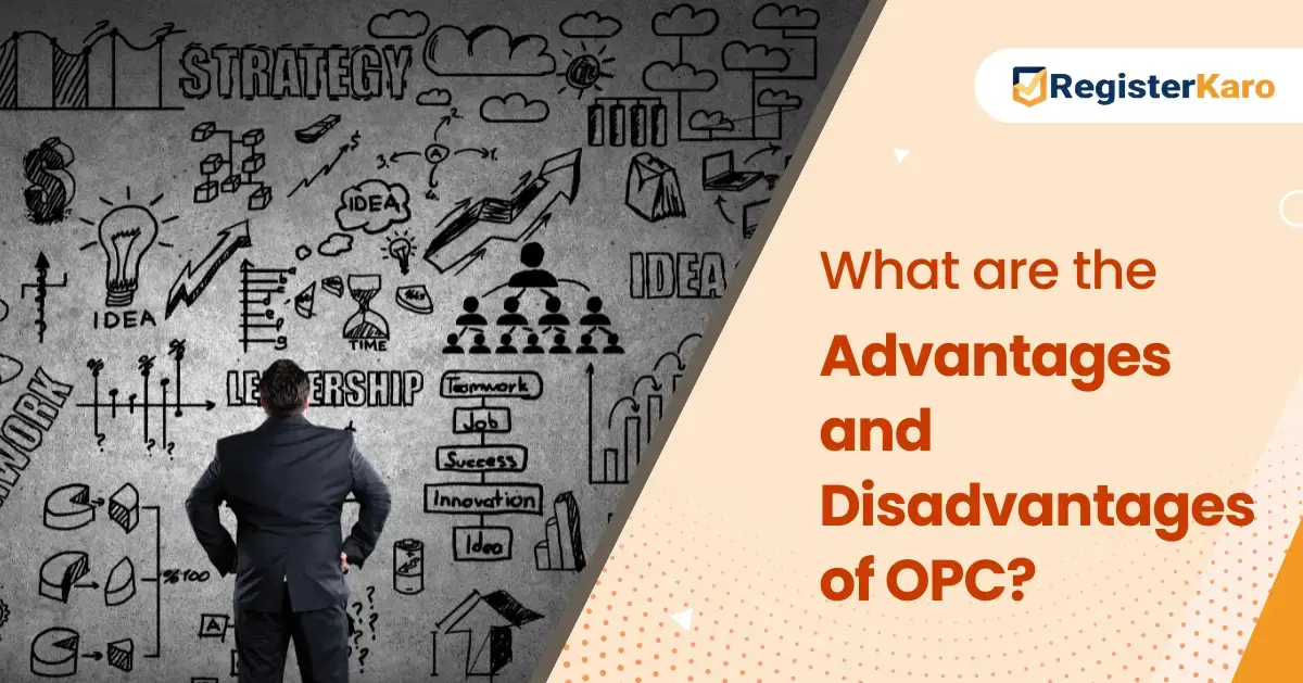 What are the Advantages and Disadvantages of One Person Company?