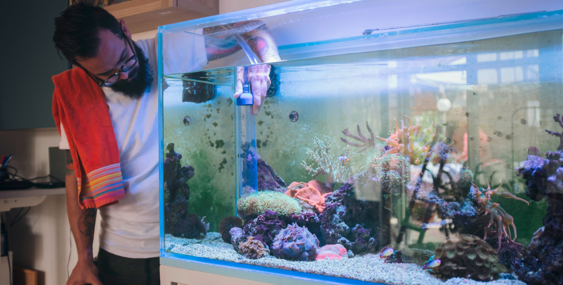 aquarium maintenance