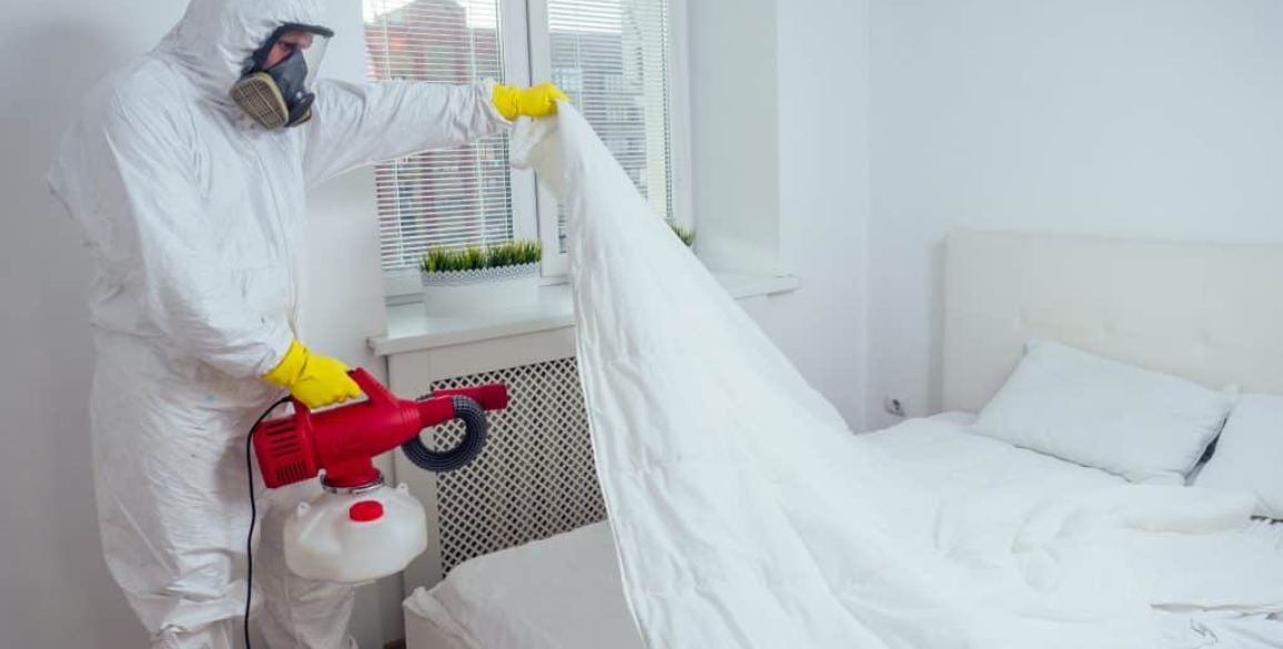 Bed Bug Removal Techniques