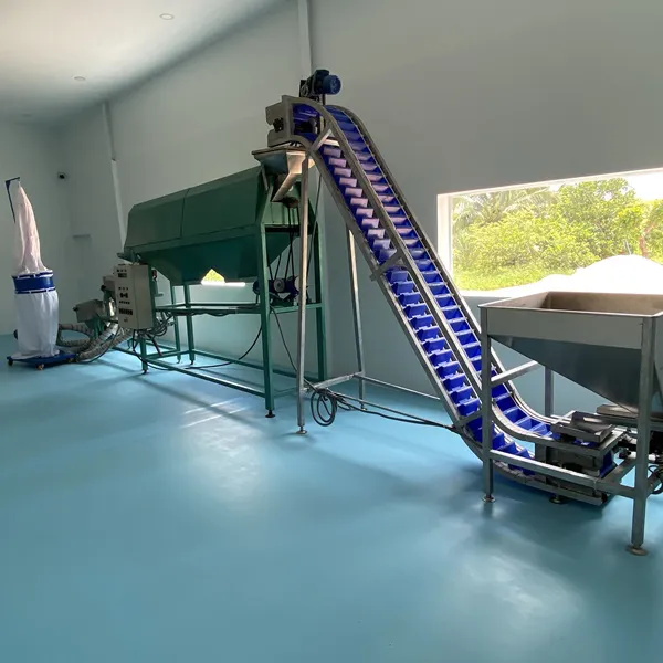 Essential Cashew Nut Processing Business Machinery & Investment