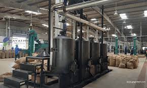 Why Cashew Nut Processing Business?