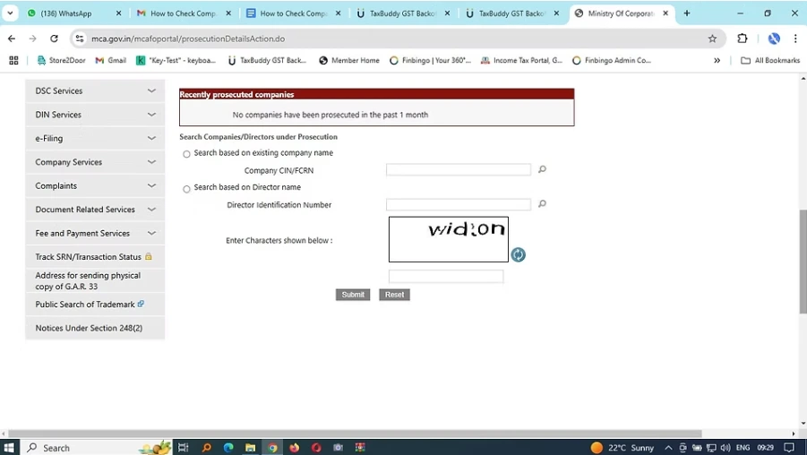 enter the company name or cin sample