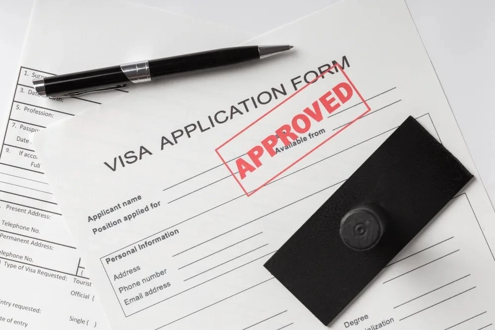 what is free zone visa